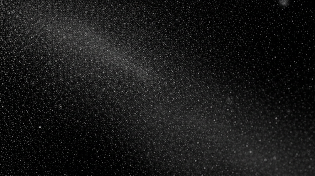 Particles 6